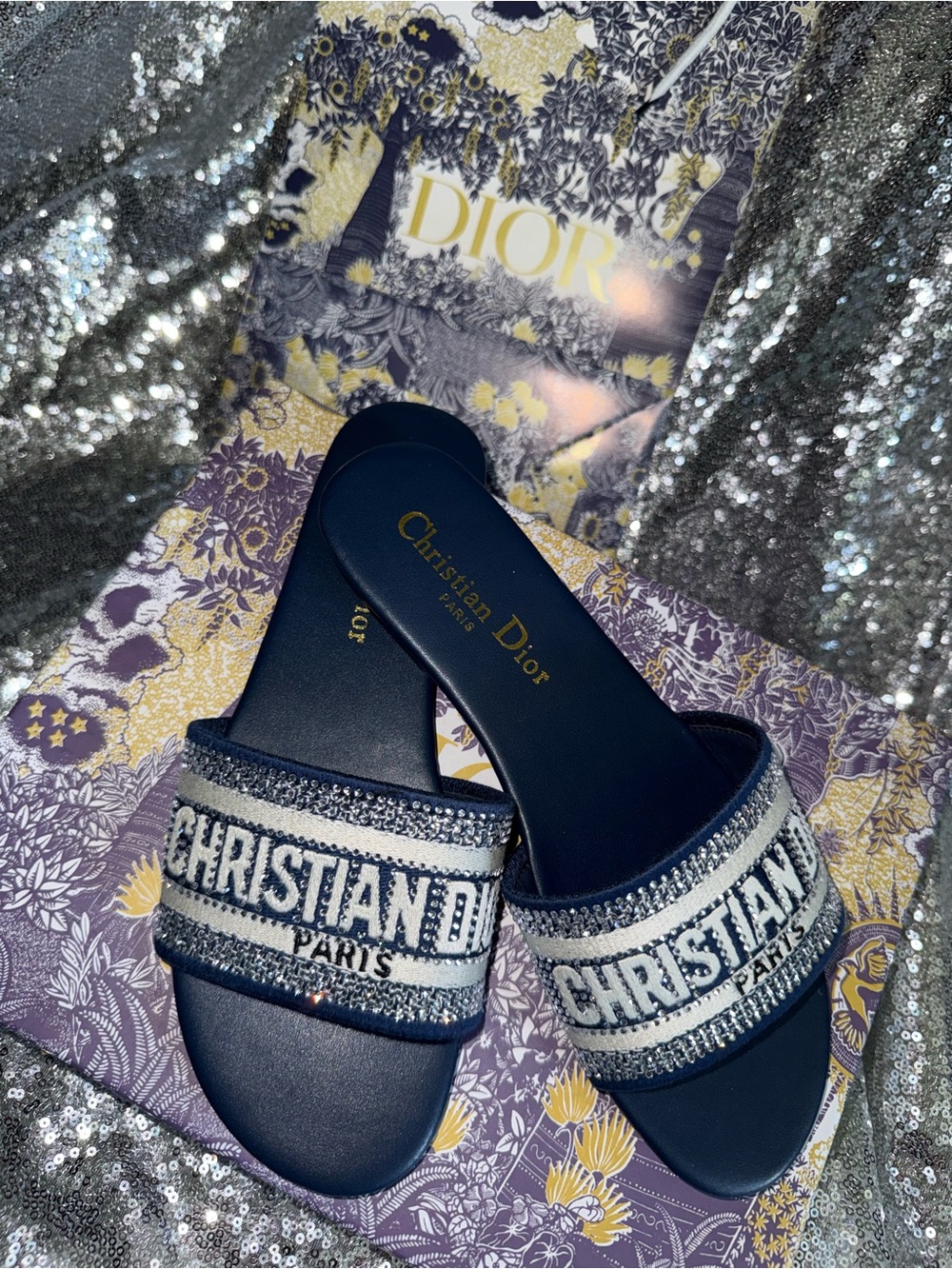 Dior Navy and White Logo Embellished Slide Mules